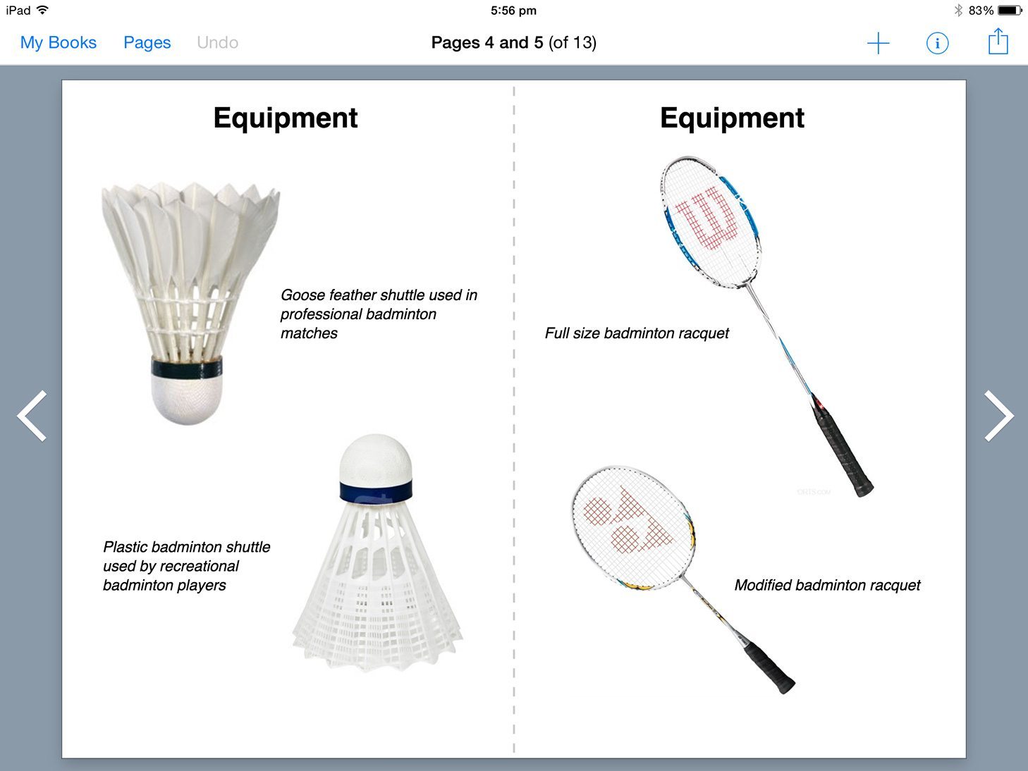 Nick's book for students, explaining the rules of badminton